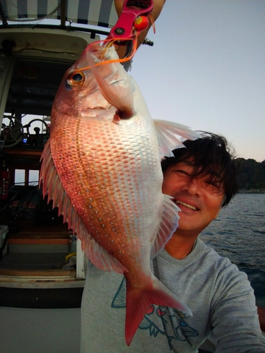 マダイの釣果