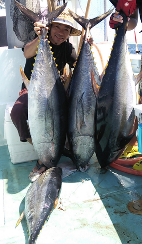 キハダマグロの釣果