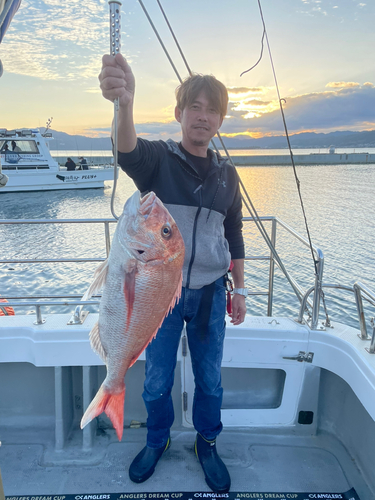 マダイの釣果