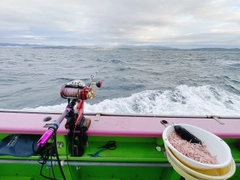 キハダマグロの釣果