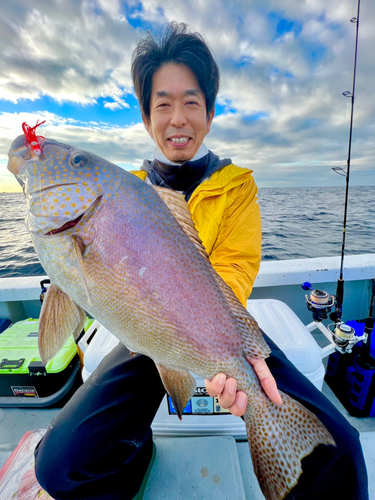 コロダイの釣果