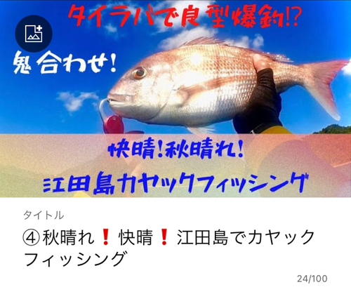 マダイの釣果