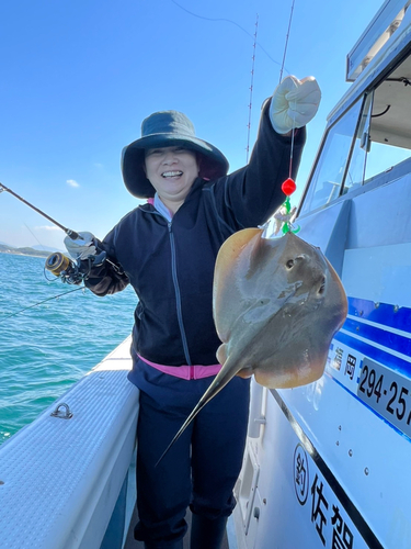 エイの釣果