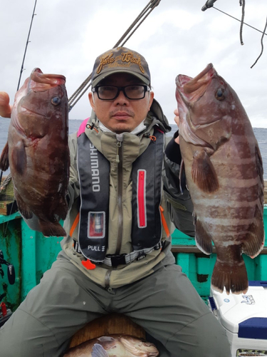 マハタの釣果