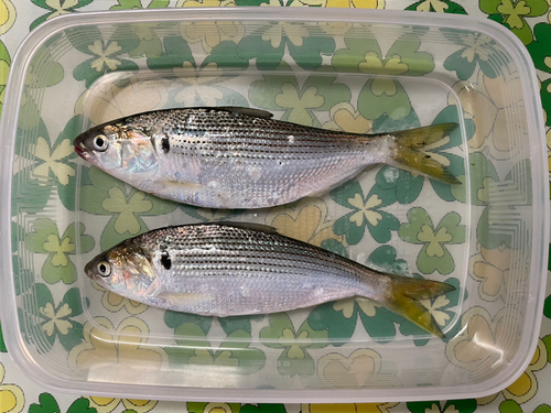 釣果