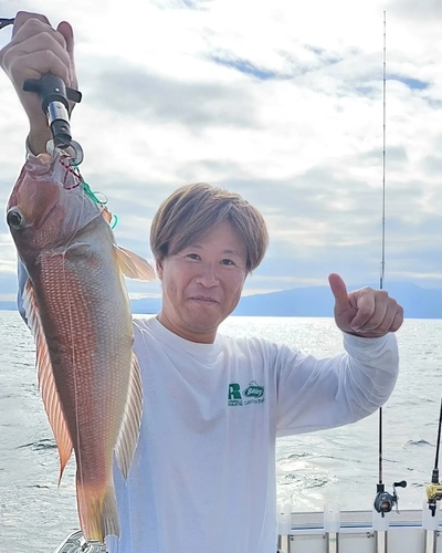 アマダイの釣果