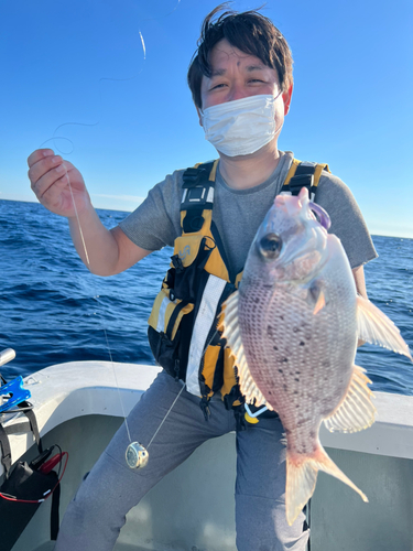 メイチダイの釣果