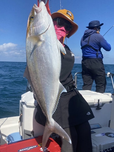 ネリゴの釣果