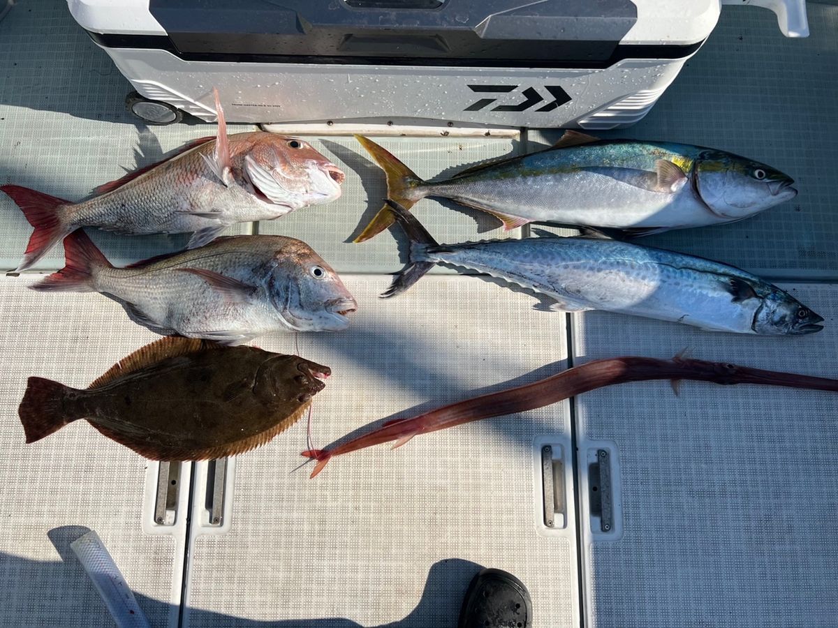 遊漁船たかくらさんの釣果 2枚目の画像