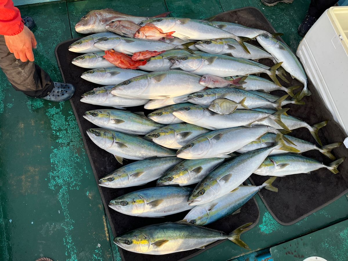 よけすさんの釣果 2枚目の画像