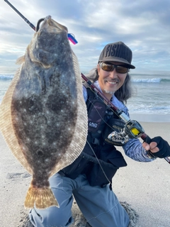 ヒラメの釣果