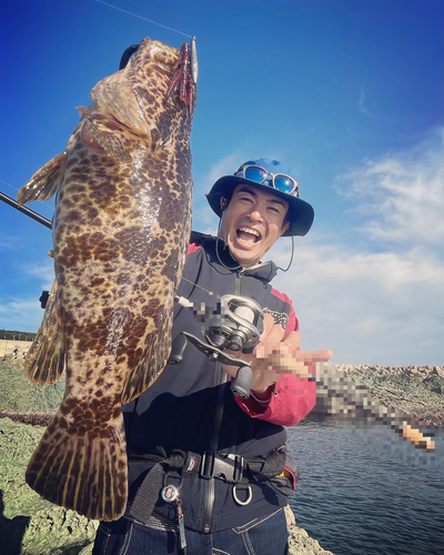 タケノコメバルの釣果