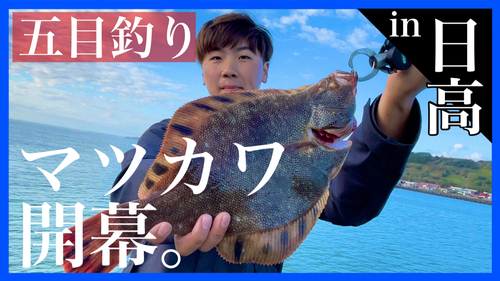 マツカワの釣果