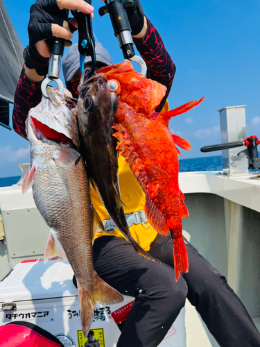 クロムツの釣果