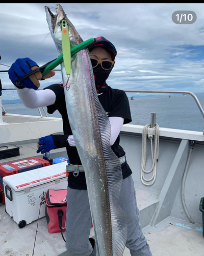 タチウオの釣果