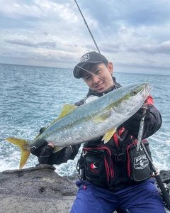 イナダの釣果