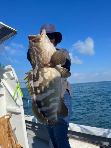 クエの釣果