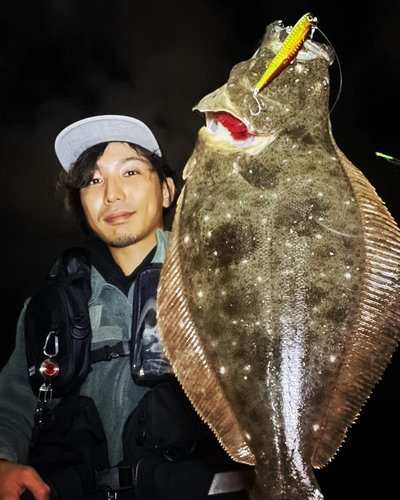 ヒラメの釣果