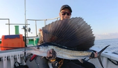 バショウカジキの釣果