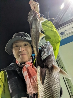 クロムツの釣果