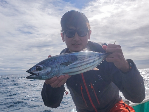 カツオの釣果