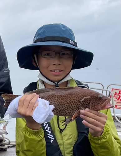 オオモンハタの釣果