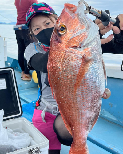 タイの釣果