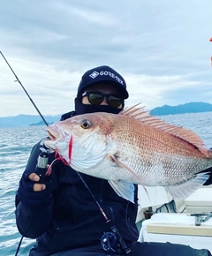 タイの釣果