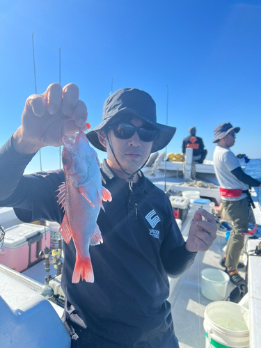 アカムツの釣果