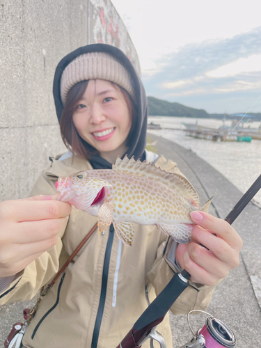 オオモンハタの釣果