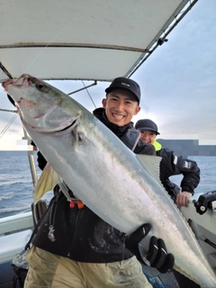 ブリの釣果