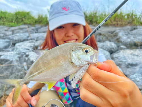 ギンガメアジの釣果