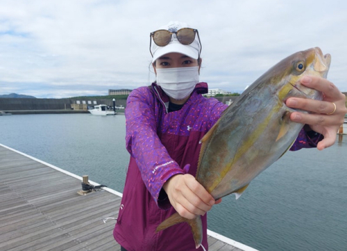 ショゴの釣果