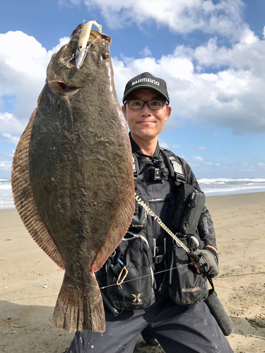 ヒラメの釣果