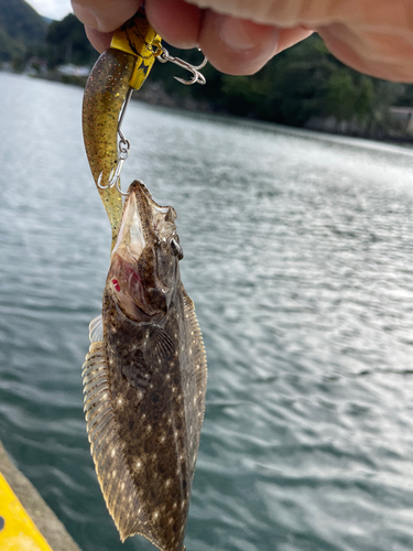 釣果