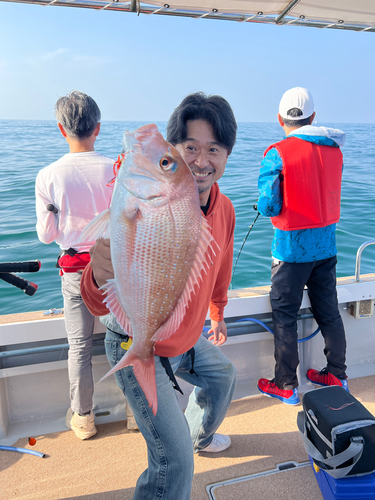 マダイの釣果