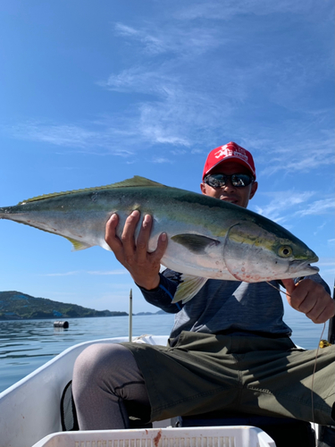 ハマチの釣果