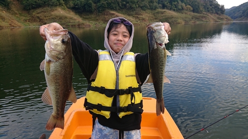 ブラックバスの釣果