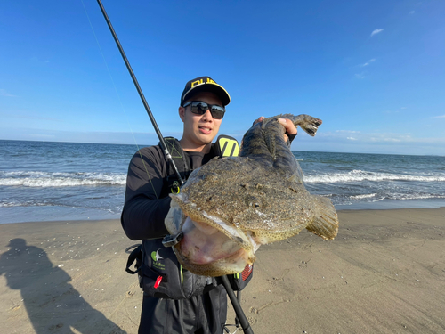 マゴチの釣果