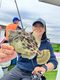 カワハギの釣果