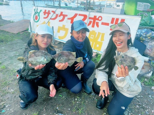 カワハギの釣果