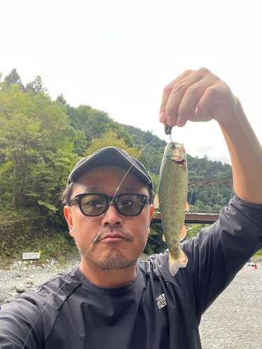 ニジマスの釣果