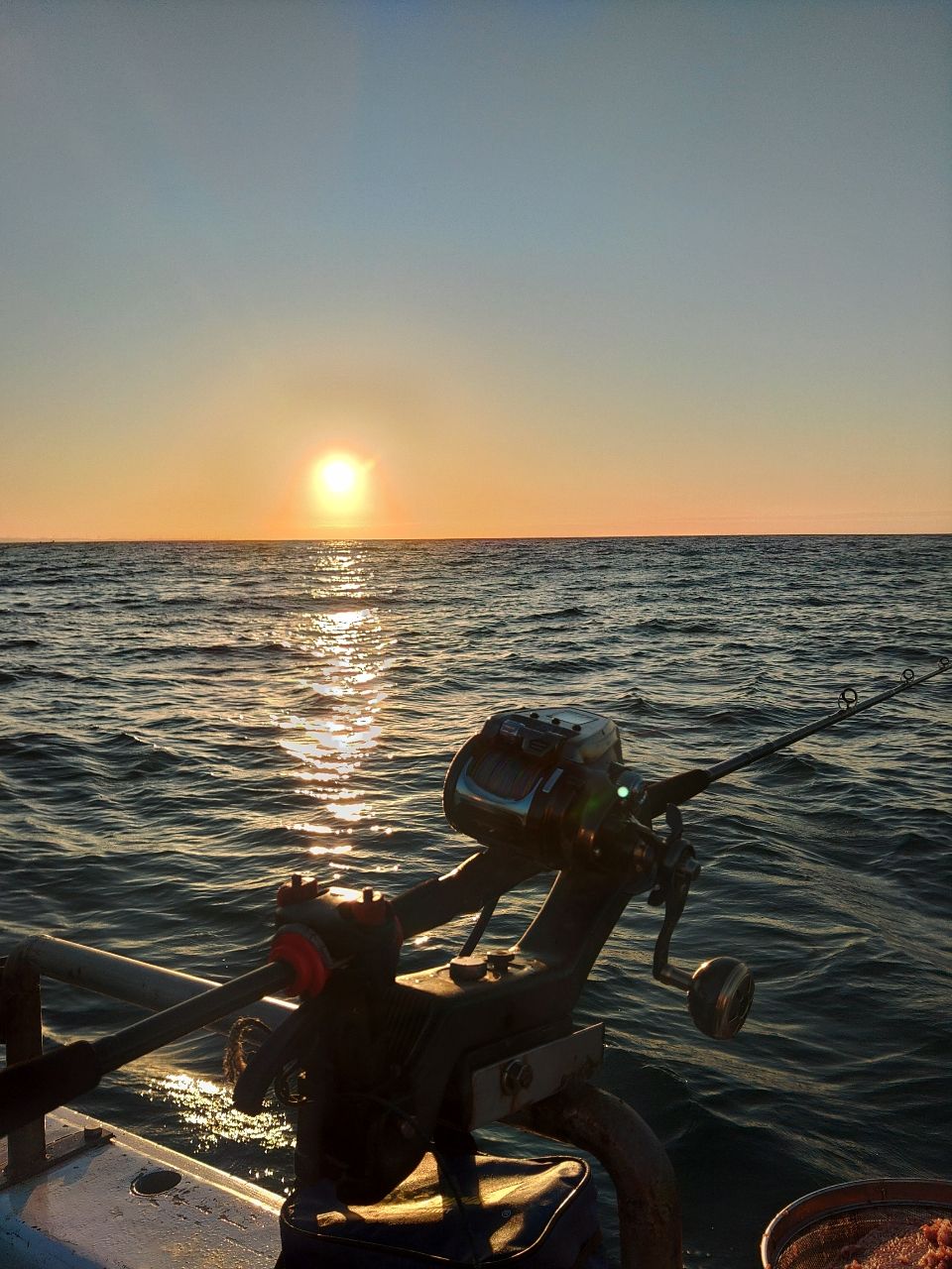 ゆうきんぐ0723さんの釣果 2枚目の画像