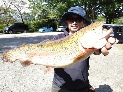 ニジマスの釣果