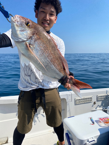 マダイの釣果