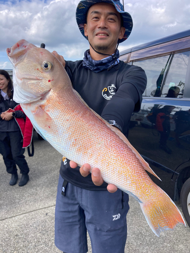 シロアマダイの釣果