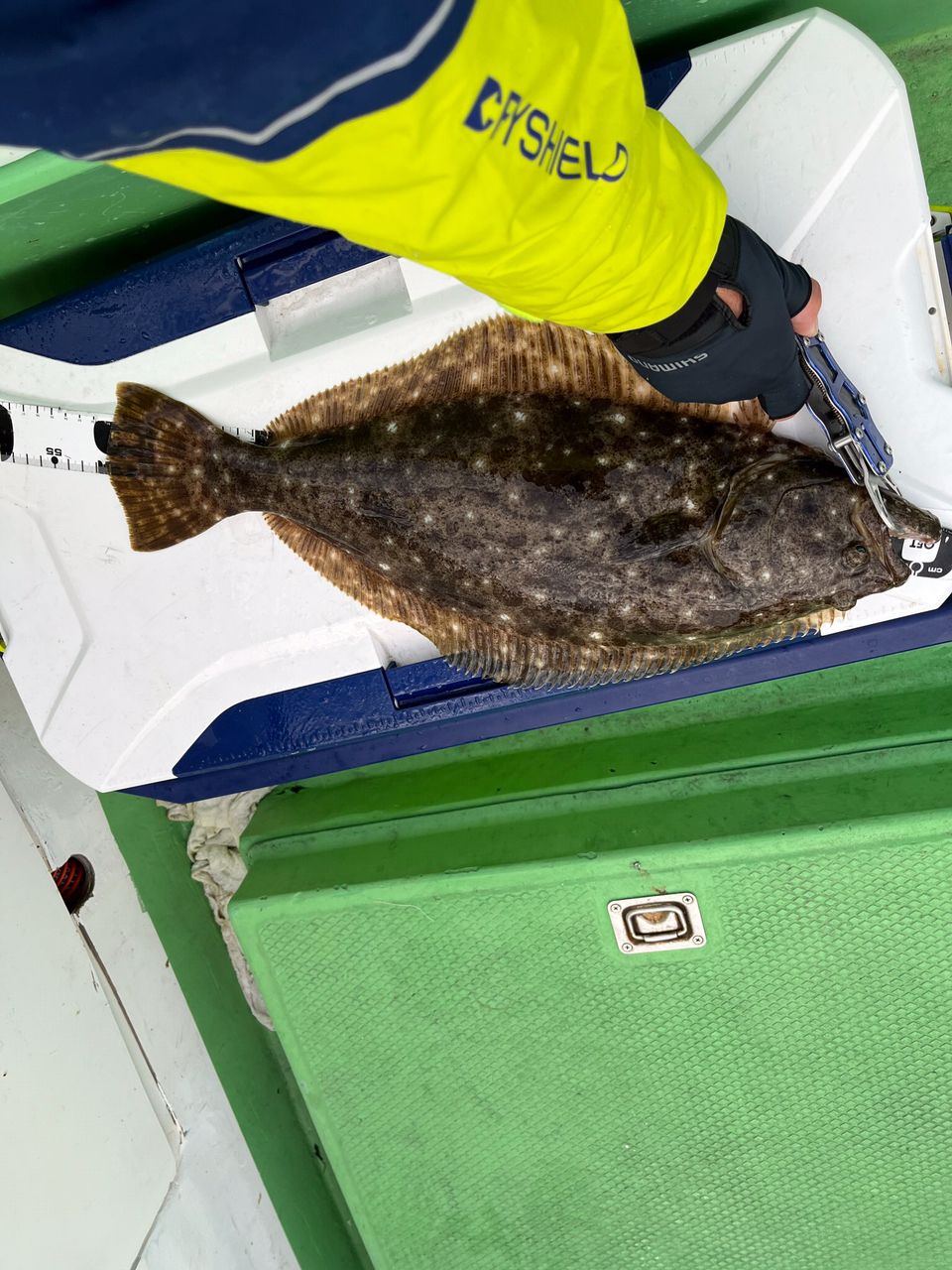 釣り好き親父さんの釣果 2枚目の画像