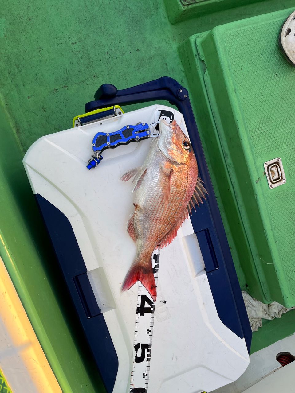 釣り好き親父さんの釣果 3枚目の画像