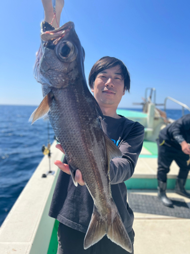 クロムツの釣果