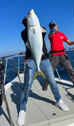 ワラサの釣果